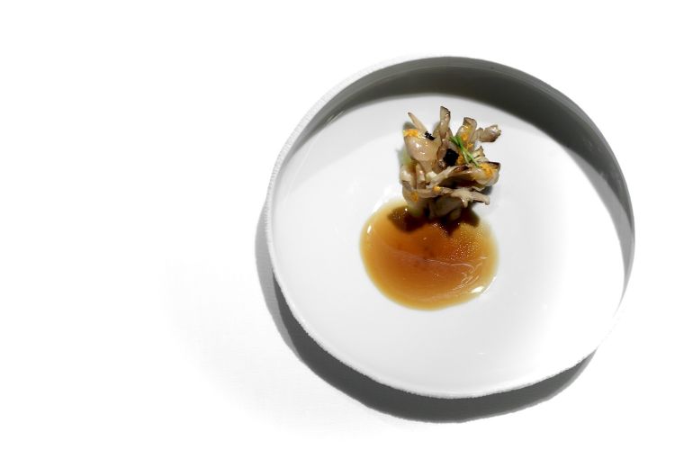 Grifola frondosa with chestnut. Grifola frondosa is oyster mushroom (it grows near chestnut trees), served with a consommé of roasted onion and cloves, chargrilled chestnut with pine oil, yuzu cream and notes of orange, grapefruit and lime zest, soya sauce and champignon mushrooms. Great harmony

