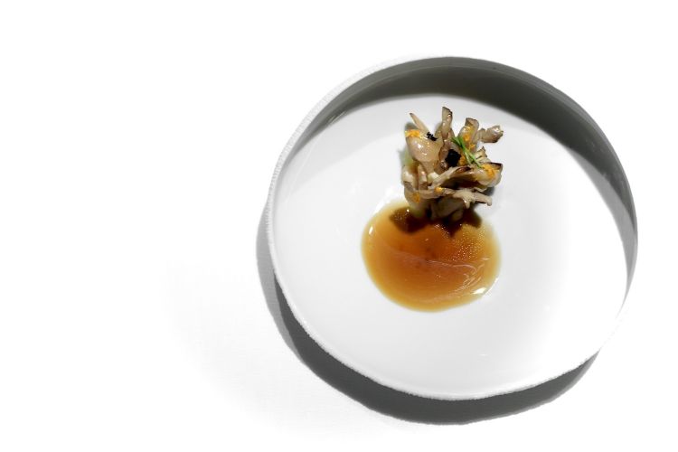 Grifola frondosa with chestnut. Grifola frondosa is oyster mushroom (it grows near chestnut trees), served with a consommé of roasted onion and cloves, chargrilled chestnut with pine oil, yuzu cream and notes of orange, grapefruit and lime zest, soya sauce and champignon mushrooms. Great harmony
