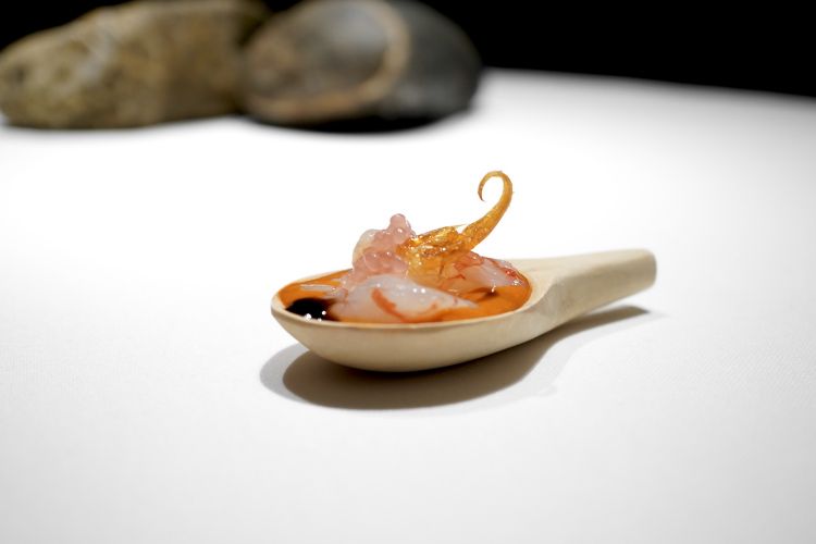 Now a trilogy of the Mediterranean region, simply perfect. The first tasting is one of the most famous, but also the less interesting, Toda la gamba (2012): an entire red prawn from Palamós – the body is lightly marinated in rice vinegar, there’s a velouté made with the carapace and a reduction of bisque. The legs are both fried and lyophilised. Finally, there’s caviar with lemon
