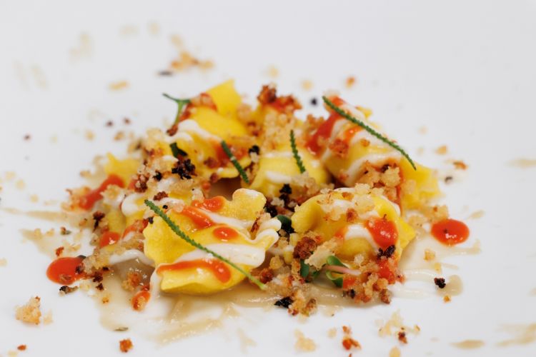 Plin ripieni di ricotta e tuma serviti su vellutata di cipolla stufata, salsa all’acciuga, e pan grattato abbrustolito