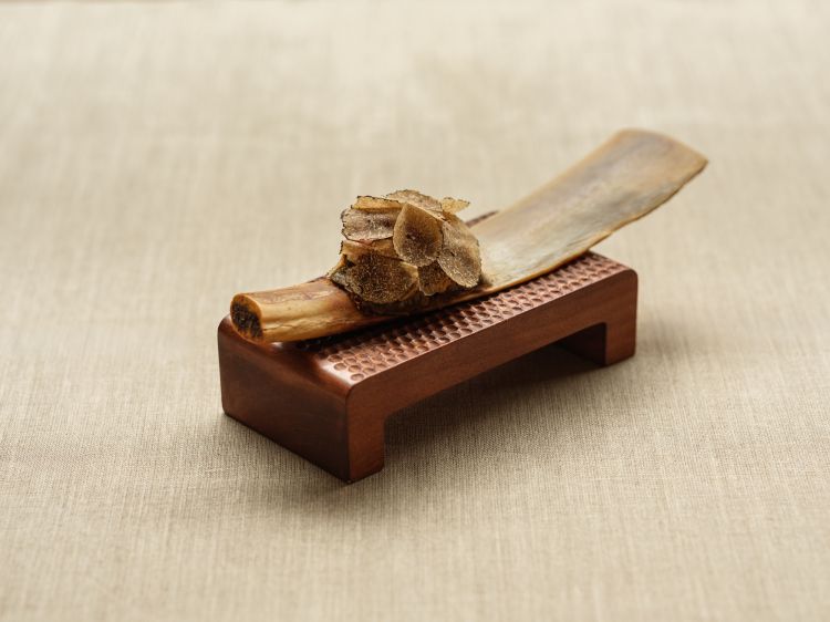 Short rib quesadilla
