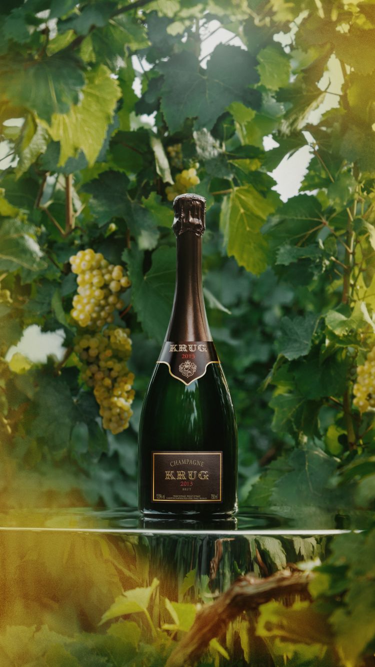 Krug 2013
