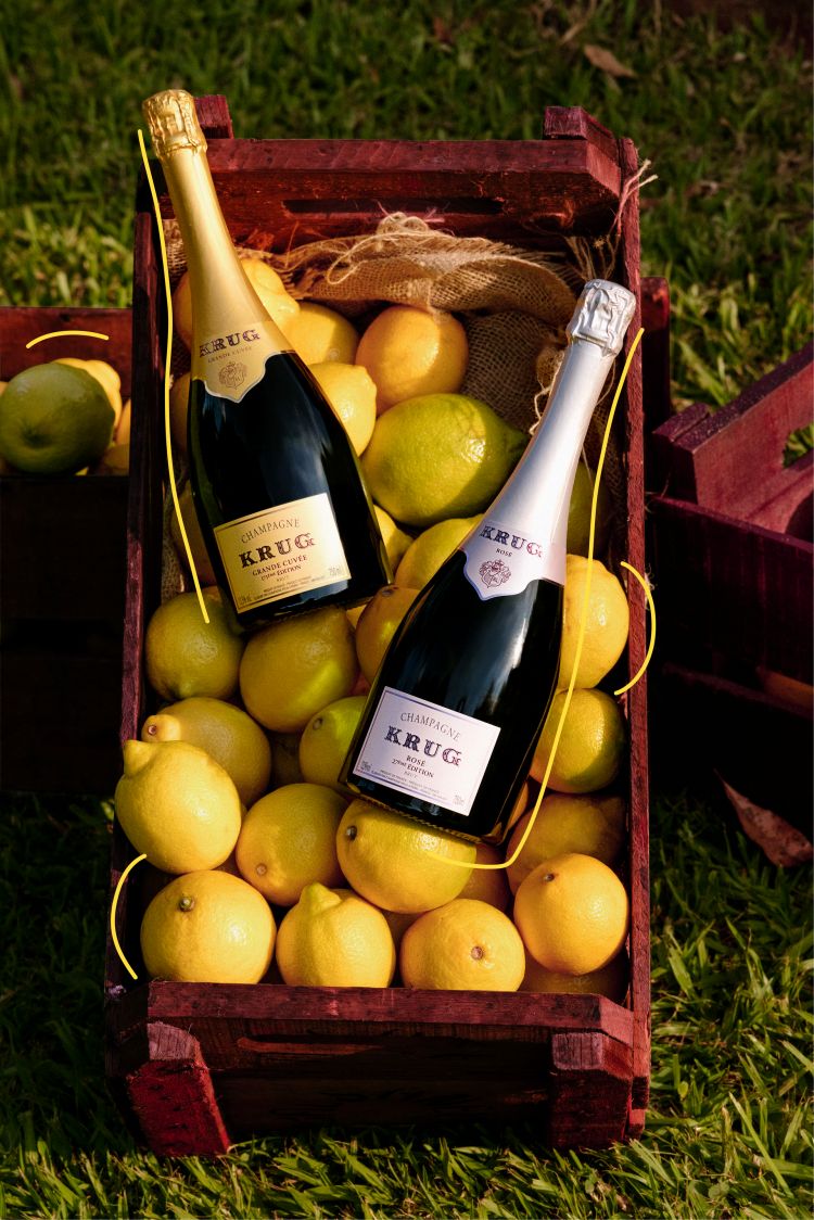 Krug x Lemon
