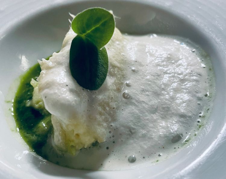 Cagliata vaccina con insalata di fave al carbone