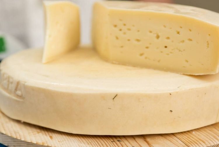 Il formaggio di latteria turnaria delle valli gemo
