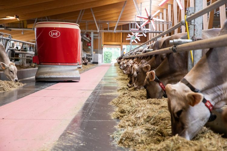 L'agriturismo La Fiorida è il primo d'Italia premiato con una stella verde Michelin. Qui è imperdibile una visita alla nuova stalla dove ogni mucca è come se vivesse in piena libertà in un monolocale. C'è anche un caseificio e un macello interno che danno prodotti a metro zero all'annesso ristorante stellato guidato dallo chef Gianni Tarabini