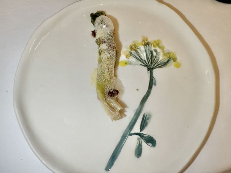 Lattuga in fermento
