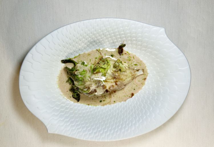 Lattughino brasato al pane, la sua estrazione ridotta, latte di nocciole: il lattugino viene brasato e aromatizzato al pane, attraverso miso di pane e malto d’orzo. È un piatto fortemente circolare: le foglie esterne vengono recuperate, trasformate in salsa e utilizzate per glassare il cuore prima della cottura alla brace. Completano il piatto latte di nocciola e una riduzione di frutti rossi e pepe