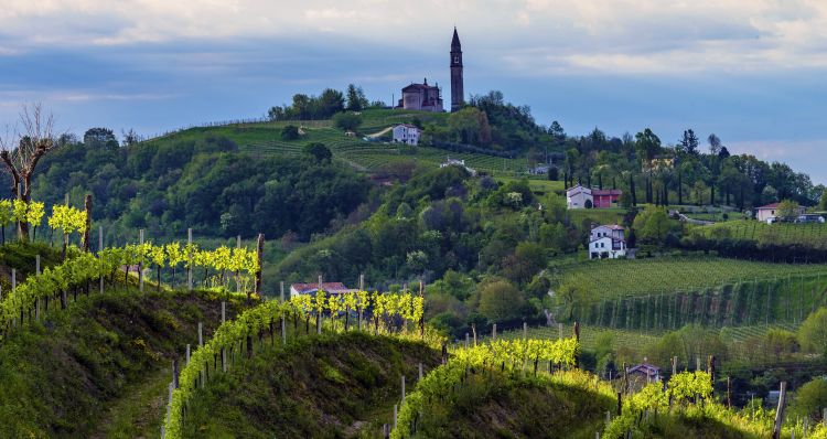 Le Colline del Prosecco di Conegliano e Valdobbiadene sono tutelate come patrimonio dell'umanità dall'Unesco