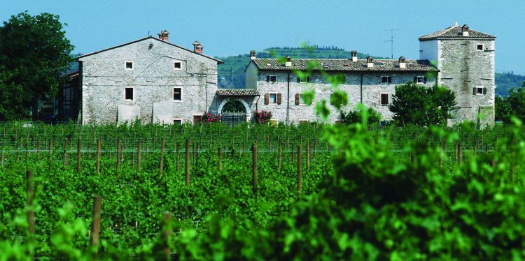 La cantina di produzione e affinamento