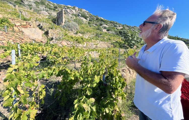 Massimo Piccin mostra la sua vigna