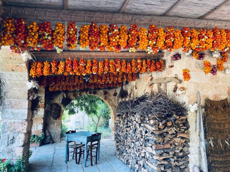 La sola attività, questo agosto all'interno delle Stanzie, sono la preparazione dei grappoli di pomodori a filo per l'inverno