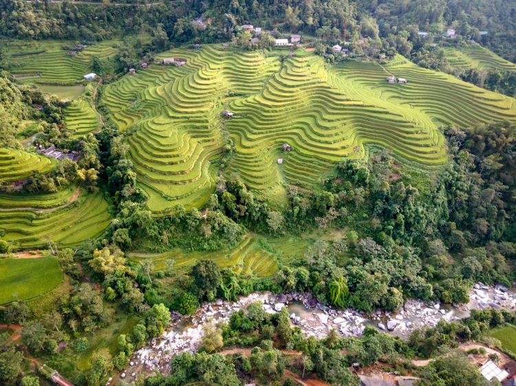 Le terrazze di riso di Banaue, nel nord delle Filippine (foto di Quang Nguyen Vinh, Pexels)
