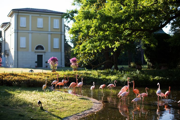 Villa Abbondanzi Resort a Faenza (Ravenna)
