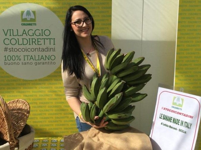 In Palermo Cooperativa Valle dell’Oreto owned by the Marcenò family produces three varieties of bananas since 2012: Musa capriciosa, Musa paradisiaca and the classic Cavendish. With 4000 plants, the farm is the largest in Italy to grow bananas outside the cellar. In the photo Letizia Marcenò shows some fruits
