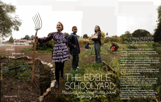 Alice Waters ha inaugurato il suo progetto di educazione alimentare nelle scuole, Edible Schoolyard (letteralmente "cortile scolastico commestibile"), nel 1996
