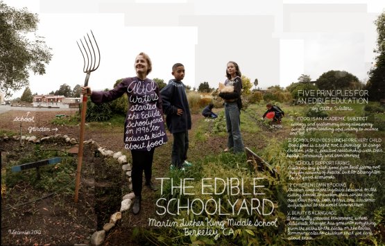 Alice Waters ha inaugurato il suo progetto di educazione alimentare nelle scuole, Edible Schoolyard (letteralmente "cortile scolastico commestibile"), nel 1996
