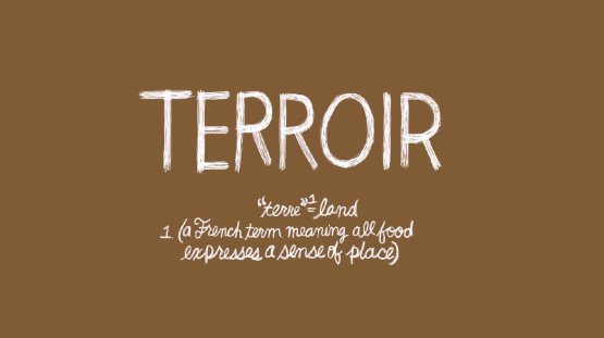 What is terroir and how is this concept developed?