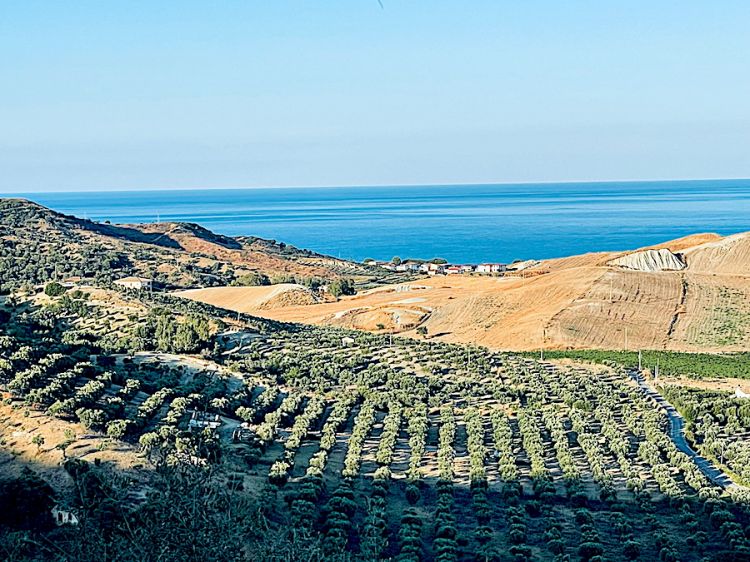 Il mar Jonio visto dal punto più elevato dell'Azienda Agricola Ceraudo in Contrada Dattilo
