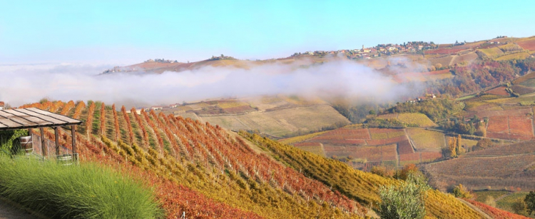 A view of the Langhe
