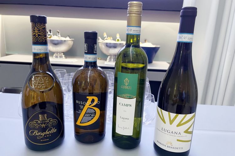 I quattro vini in degustazione