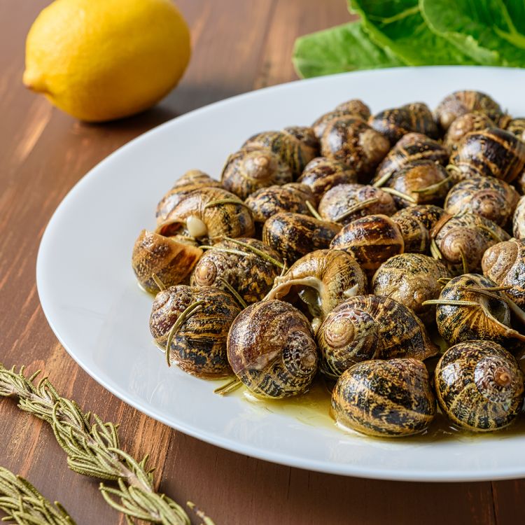 Le lumache, o “chochlioi”, sono una vera prelibatezza della cucina locale di Creta
