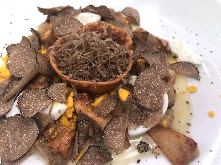 L’uovo di Ginetto nel cestino di Parmigiano su crema di patate, con mosaico di funghi porcini, galletti e tartufo scorzone (2012)