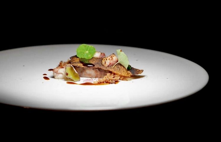 Maiale e anguilla, secondo passaggio: pluma iberica, farcia di coppa stufata con anguilla affumicata, carpione, sfoglia di cipolla bruciata, paprika, anguilla scottata, fondo di maiale