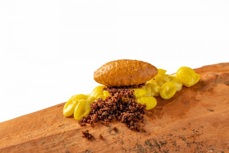 Malloreddus fatti in casa, crumble di salsiccia, burro allo zafferano e gelato alla campidanese