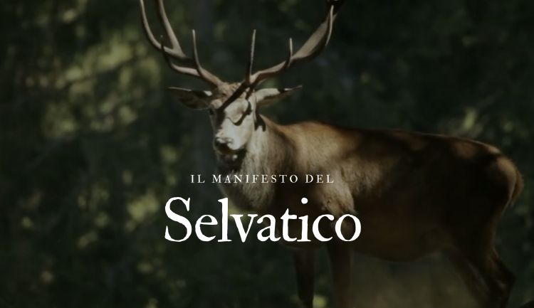 Manifesto del selvatico sostenibile