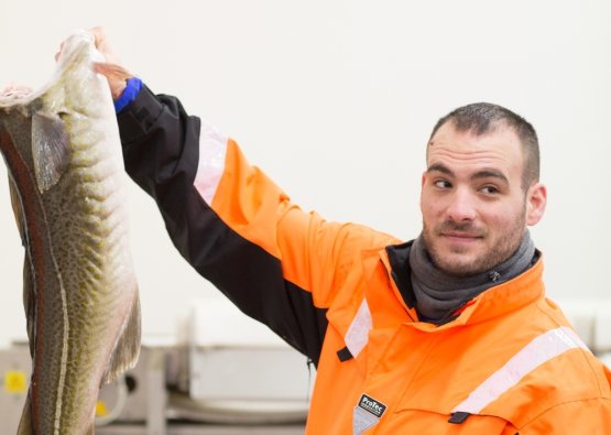 Lo chef Marco Martini alle prese con lo Skrei