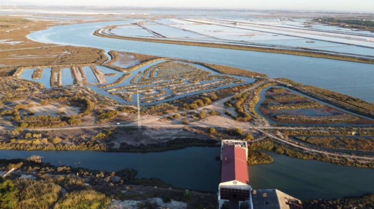 La marisma di San José