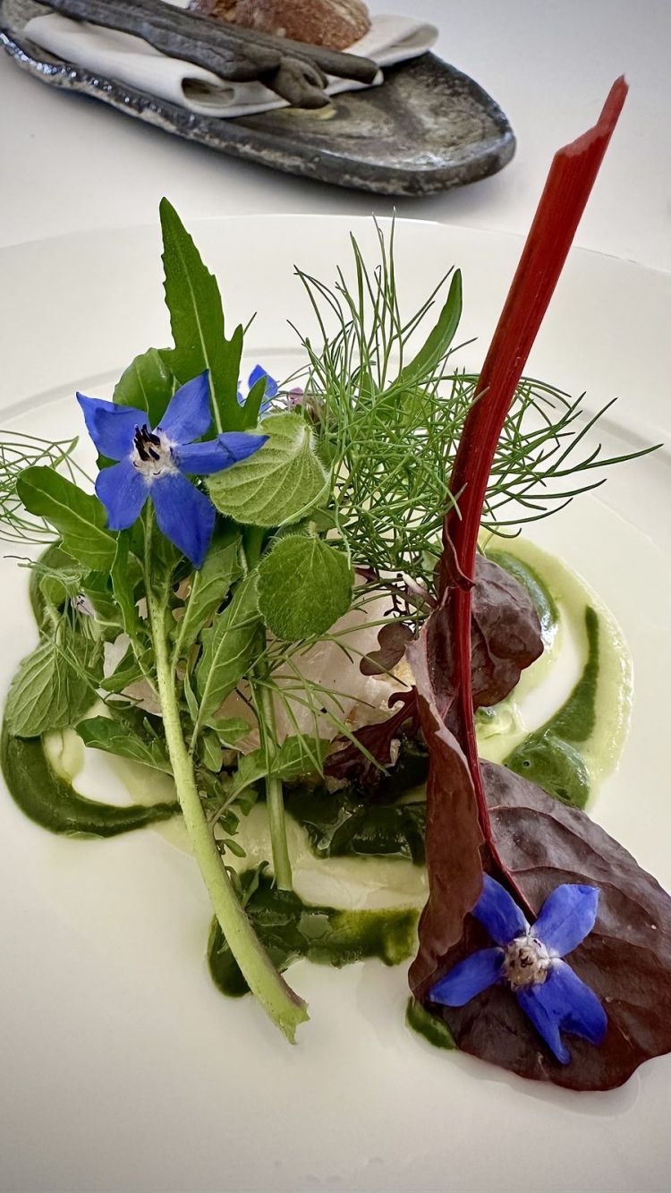 Merluzzo e foglie: le foglie, i fiori e le erbe danno sensazioni iodate, amare, piccanti, balsamiche, amplificate dalle salse alla base, realizzate con la costa e la foglia della bieta. Il merluzzo diventa quasi un contorno, di fronte al caleidoscopio dei vegetali. Piatto imperdibile
