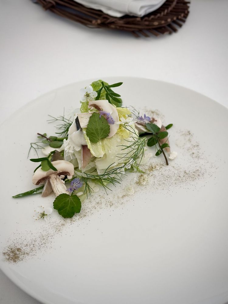 Insalata bianca: il colore bianco è il tema dominante e viene ottenuto con foglie lattuga glassate con gazpacho bianco (a base di mandorla pugliese e aglio), champignon, fiori di pruno selvatico, rucola, piantaggine, il tutto arricchito da Gamberi viola del Mar Tirreno e dal Lanzardo (un tipo di sgombro) 
