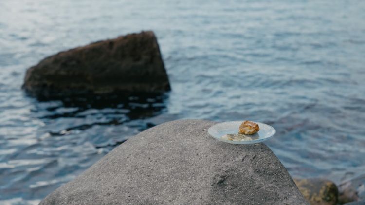 Un piatto del Signum
