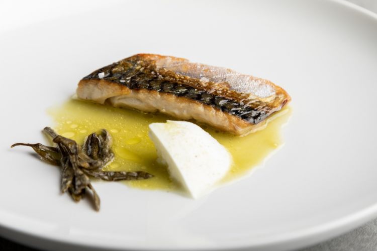 Sgombro confit, zuppa di olive verdi, bufala e capperi canditi