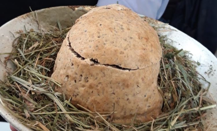 Piccione cotto in crosta di sale e fave di cacao, frutti rossi e alloro