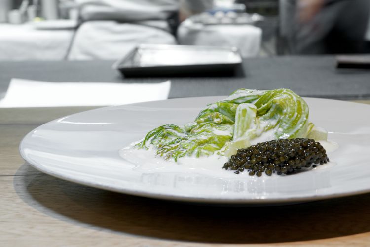 Insalata lollo marinata nella crema di latte e caviale
