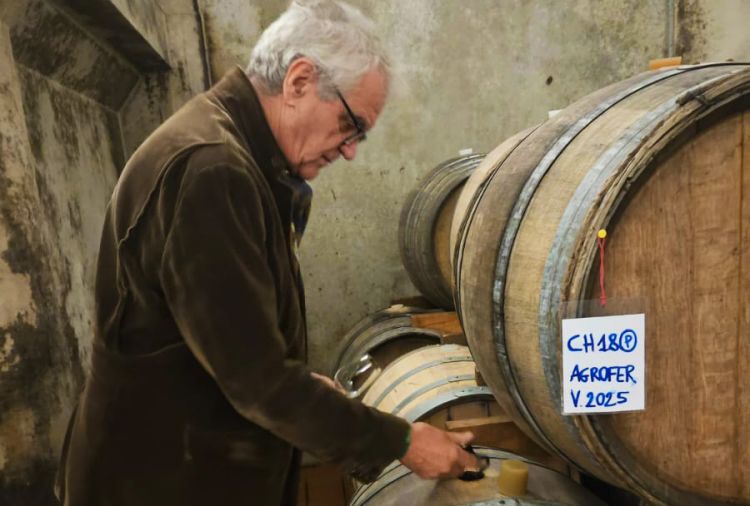 Al lavoro tra botti, tonneaux e barriques
