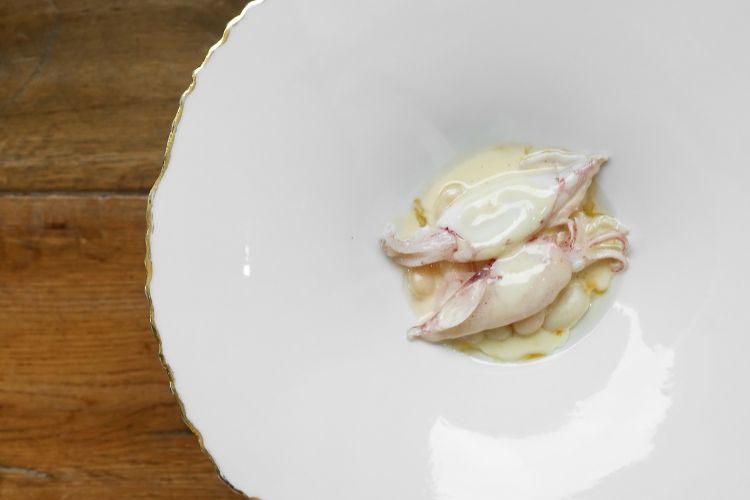 Fagioli di Pigna e calamaretti di Villefranche, salsa di sesamo bianco e fondo di maiale

