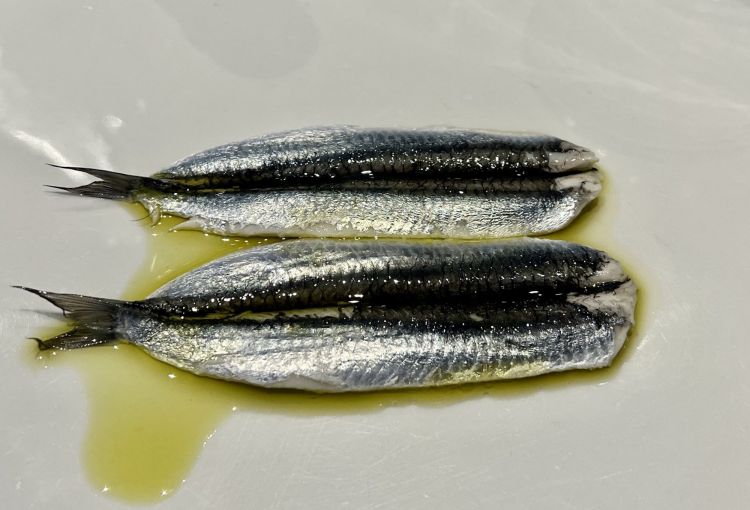 Acciughe (boquerones) in aceto

