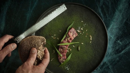 Sashimi di Bianca piemontese e fungo di corteccia
