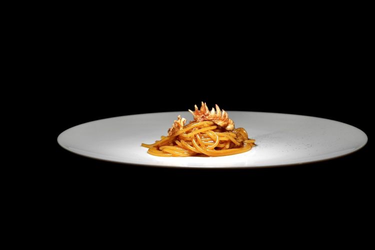 Apollo: spaghetti cotti in estrazione di pollo arrosto “come i profumi della domenica”. Un piatto storico di Mammoliti
