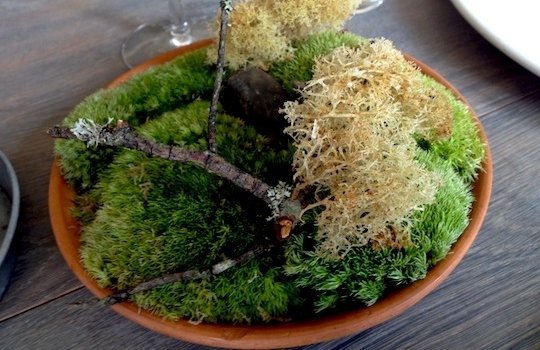 Moss and Cep: Muschio di renna con polvere di funghi porcini. Da intingere nella crème fraîche, è uno dei piatti più noti del Noma di Copenhagen
