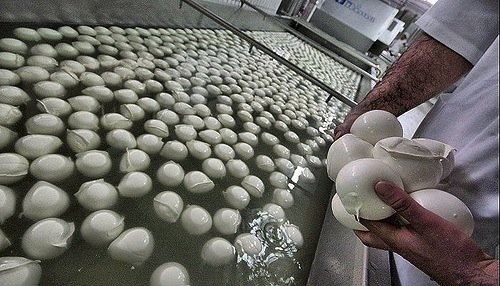 Nel 2010, la Mozzarella di Bufala Campana Dop ha f
