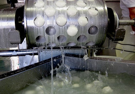 La macchina che confeziona i bocconcini di mozzarella da 250 grammi