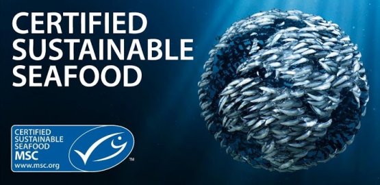 Catena di Custodia è il protocollo di tracciabilità dal mare al piatto di Msc: rende tracciabile ogni anello della catena, fino al ristorante
