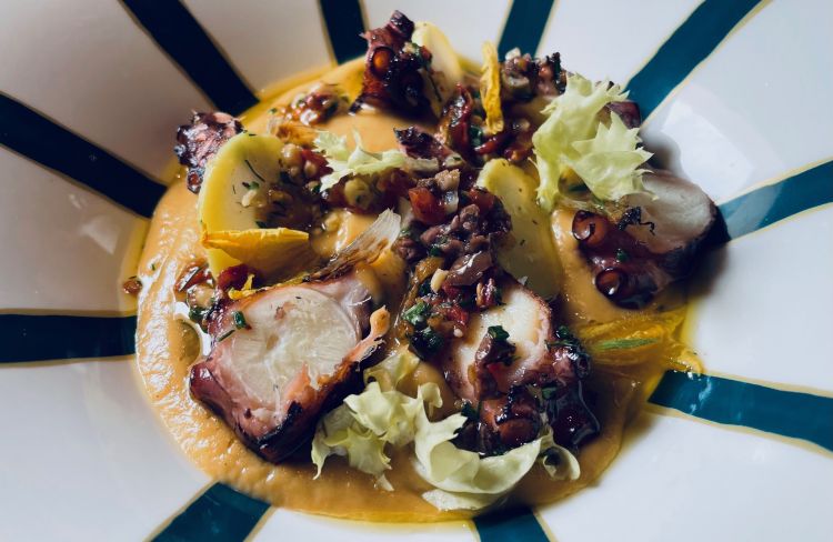 Polpo scottato alla plancia, con crema di zucchine trrombetta, cipollotto di Sant'Erasmo
