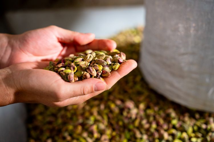 La tostatura del pistacchio rimane una delle operazioni più delicate, affidata alle mani attente di soli 4 o 5 dei 238 collaboratori interni
