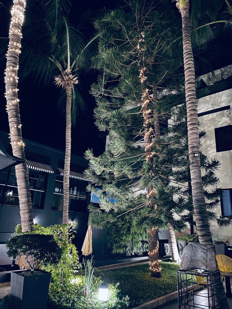 Palme, un giardino di palme a Dakar. Non a caso il boutique hotel di Alessandro Merlo si chiama The Palms
